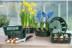 Nature Bollenplantmand Groen 25 X 21 X 7,5 Cm 3 Stuks -Gardena Verkoopwinkel 8711338201039 3